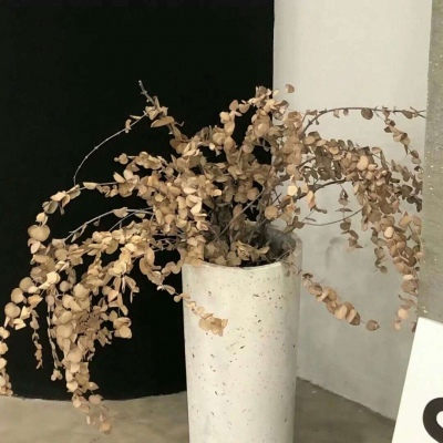 Furry插画光影处理福瑞交流群